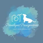 Penny and Todd | Bayside Pet Photography - @penelopespawspectives - Instagram