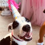 Penelope Torres - @the_pennyverse - Instagram