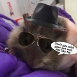 Hazel Penelope Townsend - @hazelpiggyisswag - Instagram