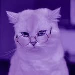 Penelope Tyson - @penelopetyson8 - Instagram
