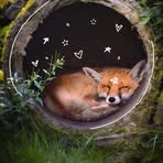 Penelope Van - Facebook