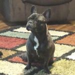 Penelope Vance - @penelope_von_precious - Instagram