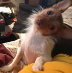 Penelope Vaughn - Facebook