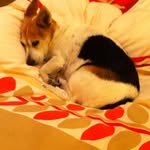 Penelope Wallis - @penelopewallis - Instagram