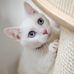 Penelope Ward - Facebook