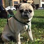 Penelope Webb - @webbpenelope - Instagram