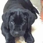Penelope Webber - @penelopewebber - Instagram