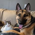 Luna & Penelope Weber - @the_adventures_of_luna_and_p - Instagram