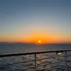 Penelope Whiting - @penelope.whiting - TikTok