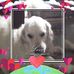 Penny Whiting - Facebook