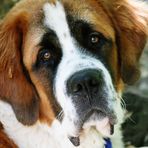 Penelope Whitlock - Facebook