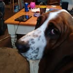 Penelope Williamson - @penelope_is_the_boss - Instagram