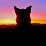 penelope_wolfgang - @penelope_wolfgang - Instagram