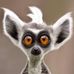 Penelope Pilger Wolfe - Facebook
