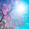 penelope wrights - @penelope.wrightss - TikTok