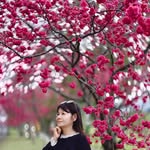 Peng Chu Peng - @minzhuchen - Instagram