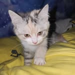 彭传龙 - @pengchuanlong7 - Instagram