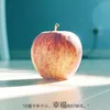Peng Chuang Quek - @peng.chuang.quek - TikTok