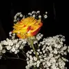 Pennie Jo Brown - @pennie.jo.brown - TikTok