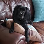 Pennie Downing - @penniedowning - Instagram