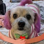 Pennie Smith McDonald - @pennie2214 - Instagram