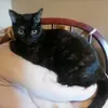 penny - @pennyandaddison - TikTok