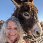 Penny Adler - @peafarm - Instagram