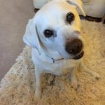 Penny Ager - @clairehedger11 - Instagram