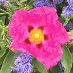 Penny Akin - @penny_akin780 - Instagram