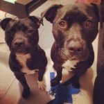 Albert & Penny - @albert_n_penny - Instagram