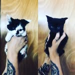 Albert and Penny - @pennyalbertand - Instagram