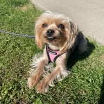 Penny Albright - @plsalbright - Instagram