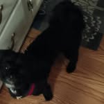 Penny Albright - @penny.albright1 - Instagram