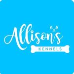 Penny Allison ⭐️⭐️⭐️⭐️⭐️ - @allisonskennels - Instagram