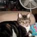 Penny Ames - Facebook