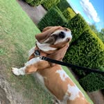 Penny James - @penny.james.923 - Instagram