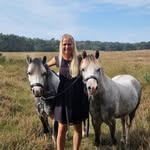 Penny and Nardo Welsh Ponies - @penny_and_nardo_fanpage - Instagram