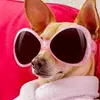 Penny - @penny.boardis - TikTok
