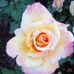 Penny Arrowood - Facebook