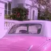 Ash&penny - @ashloves.penny - TikTok