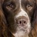 Penny Atkinson - Facebook