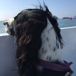 Penny Atkinson - @swimmy_pen - Instagram
