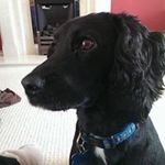 Penny Austin - @pennyaus1 - Instagram
