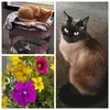 pennyaustin - @pennyaustin - TikTok