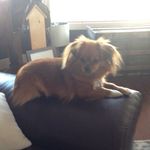 Penny Bacon Shippelt - @penny_bacon11111 - Instagram