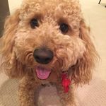 Penny R Bacon - @pennybacon7 - Instagram