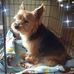Penny Barlow - Facebook