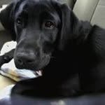 Penny Barlow - @penbarlow - Instagram