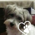 Penny Barlow - Facebook