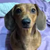 Miss.Penny - @penny.barrera5 - TikTok
